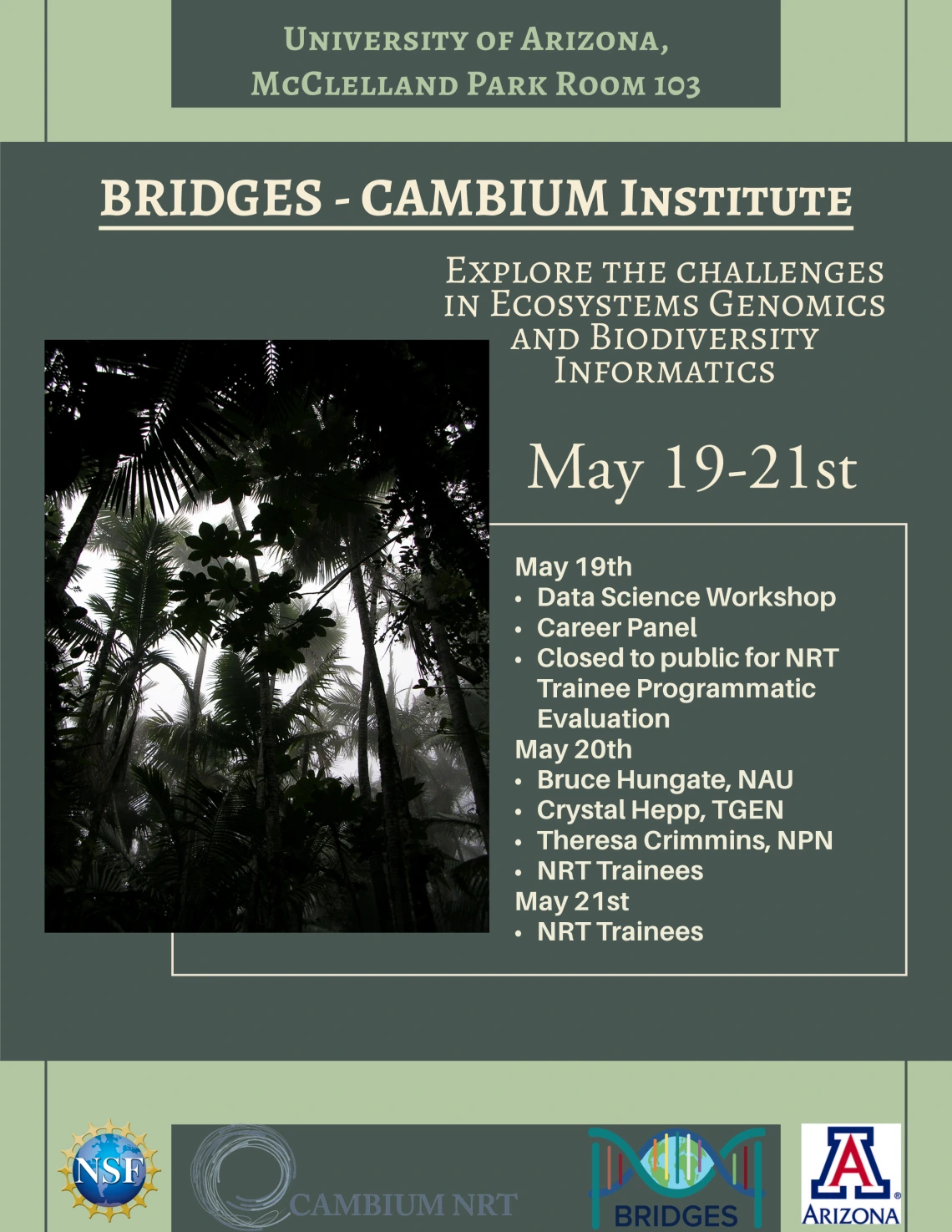 BRIDGES-CAMBIUM Institute Flyer