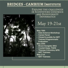BRIDGES-CAMBIUM Institute Flyer